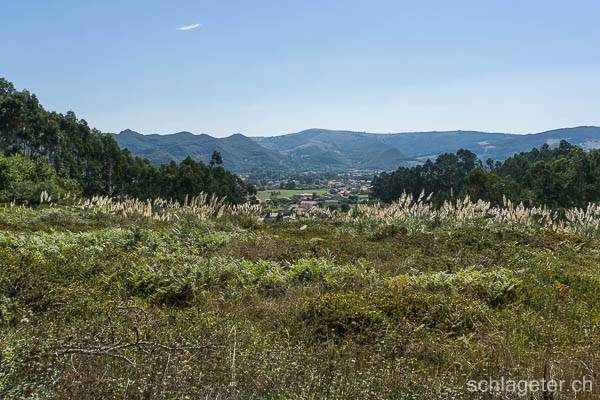 Camino del Norte