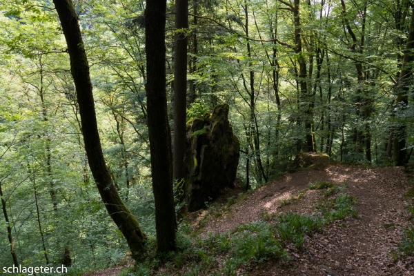 Pfingstwanderung Schwarzwald
