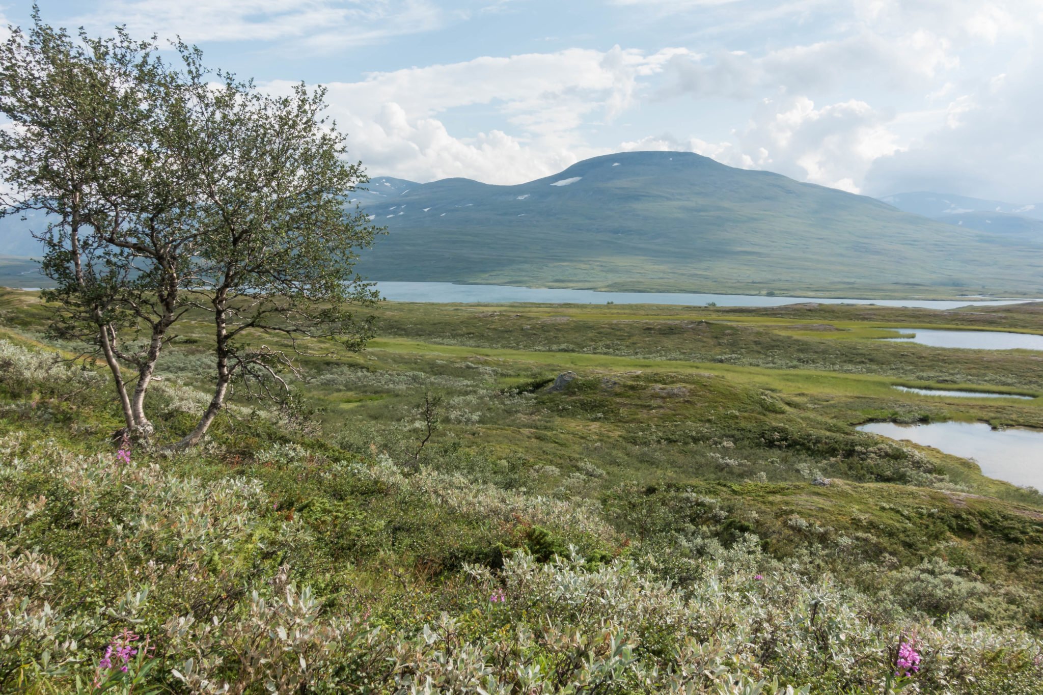 Sarek Nationalpark - Wandern in Schweden