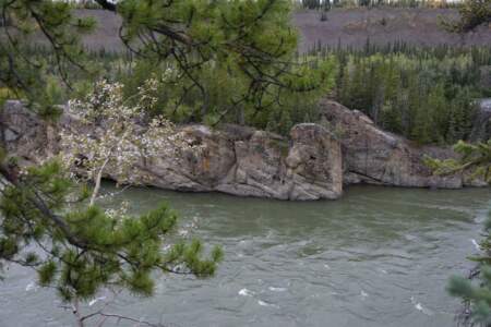 Kanada & Alaska // Reisebericht // Teil - 1- die Bilder 89