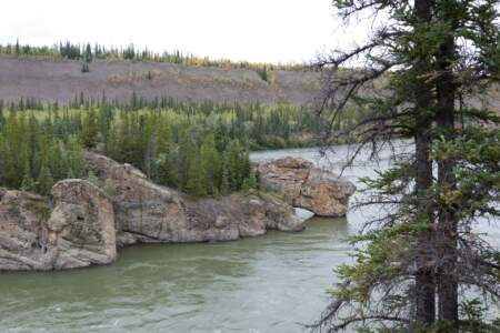 Kanada & Alaska // Reisebericht // Teil - 1- die Bilder 90