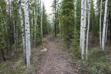 Kanada & Alaska // Reisebericht // Teil - 1- die Bilder 100