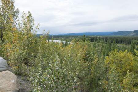 Kanada & Alaska // Reisebericht // Teil - 1- die Bilder 110