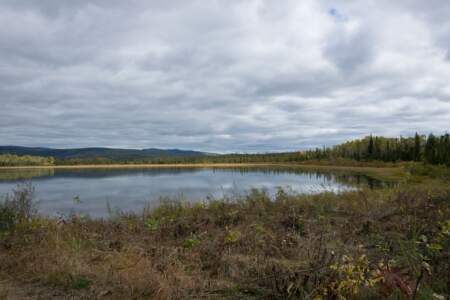 Kanada & Alaska // Reisebericht // Teil - 1- die Bilder 127