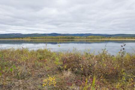 Kanada & Alaska // Reisebericht // Teil - 1- die Bilder 128