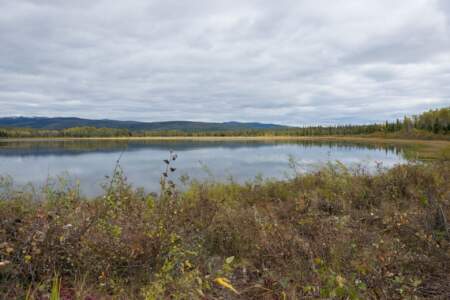 Kanada & Alaska // Reisebericht // Teil - 1- die Bilder 129