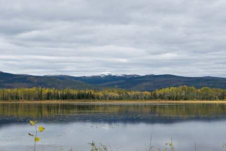 Kanada & Alaska // Reisebericht // Teil - 1- die Bilder 130