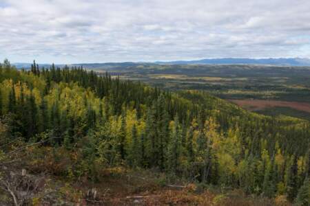 Kanada & Alaska // Reisebericht // Teil - 1- die Bilder 136