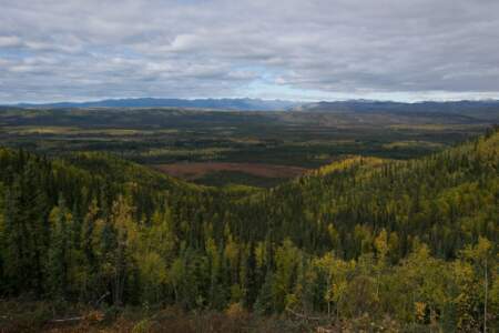 Kanada & Alaska // Reisebericht // Teil - 1- die Bilder 137