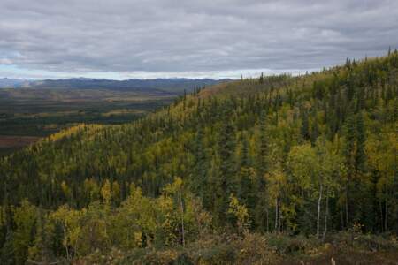 Kanada & Alaska // Reisebericht // Teil - 1- die Bilder 139