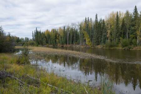 Kanada & Alaska // Reisebericht // Teil - 1- die Bilder 141