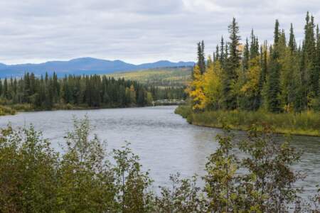Kanada & Alaska // Reisebericht // Teil - 1- die Bilder 143