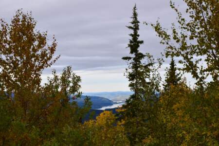 Kanada & Alaska // Reisebericht // Teil - 1- die Bilder 170