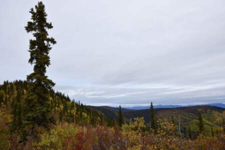 Kanada & Alaska // Reisebericht // Teil - 1- die Bilder 172