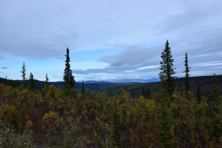 Kanada & Alaska // Reisebericht // Teil - 1- die Bilder 175