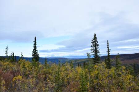 Kanada & Alaska // Reisebericht // Teil - 1- die Bilder 178