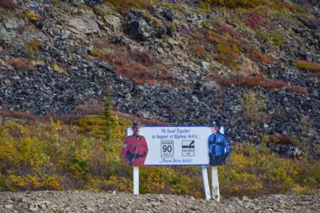 Kanada & Alaska // Reisebericht // Teil - 1- die Bilder 192