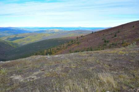 Kanada & Alaska // Reisebericht // Teil - 1- die Bilder 193