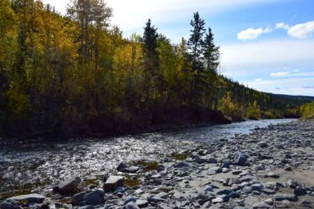 Kanada & Alaska // Reisebericht // Teil - 1- die Bilder 194