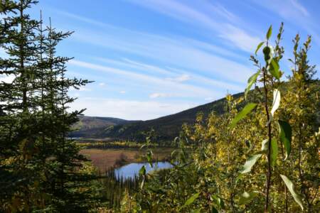 Kanada & Alaska // Reisebericht // Teil - 1- die Bilder 195