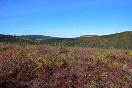 Kanada & Alaska // Reisebericht // Teil - 1- die Bilder 199