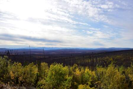 Kanada & Alaska // Reisebericht // Teil - 1- die Bilder 204