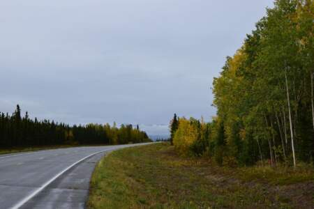 Kanada & Alaska // Reisebericht // Teil - 1- die Bilder 209