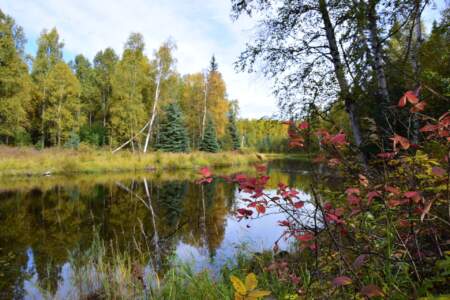 Kanada & Alaska // Reisebericht // Teil - 1- die Bilder 215