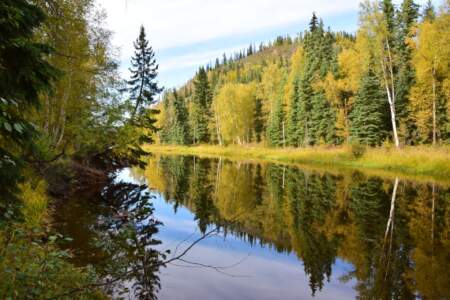 Kanada & Alaska // Reisebericht // Teil - 1- die Bilder 216
