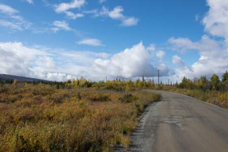 Kanada & Alaska // Reisebericht // Teil - 1- die Bilder 233