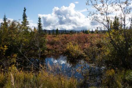 Kanada & Alaska // Reisebericht // Teil - 1- die Bilder 235