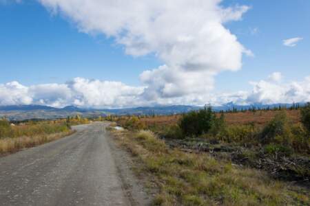 Kanada & Alaska // Reisebericht // Teil - 1- die Bilder 237