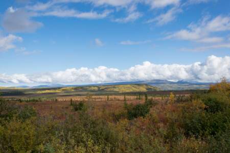 Kanada & Alaska // Reisebericht // Teil - 1- die Bilder 240