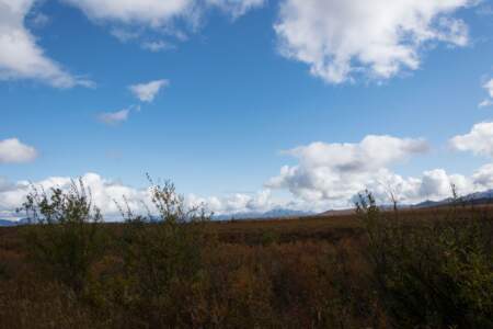 Kanada & Alaska // Reisebericht // Teil - 1- die Bilder 242