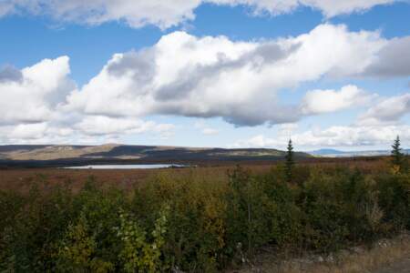 Kanada & Alaska // Reisebericht // Teil - 1- die Bilder 243