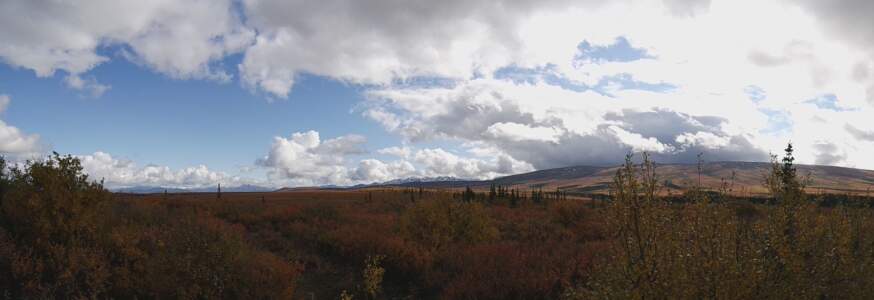 Kanada & Alaska // Reisebericht // Teil - 1- die Bilder 244