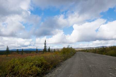 Kanada & Alaska // Reisebericht // Teil - 1- die Bilder 245