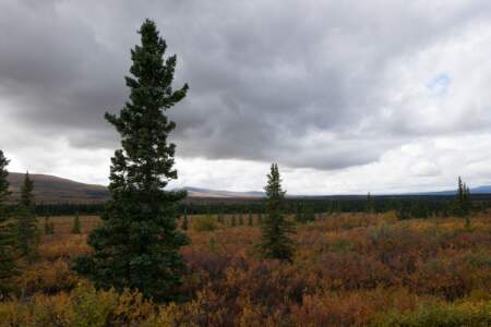 Kanada & Alaska // Reisebericht // Teil - 1- die Bilder 246