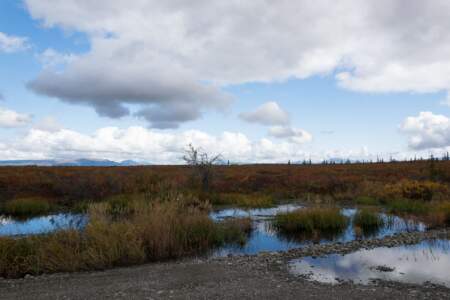 Kanada & Alaska // Reisebericht // Teil - 1- die Bilder 248
