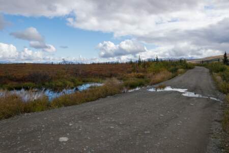 Kanada & Alaska // Reisebericht // Teil - 1- die Bilder 249