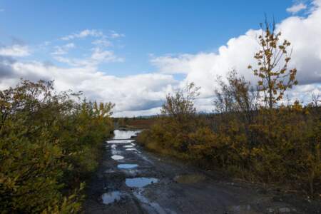 Kanada & Alaska // Reisebericht // Teil - 1- die Bilder 250