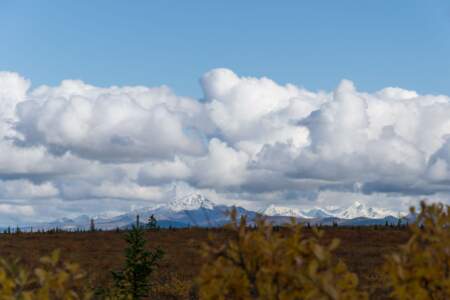 Kanada & Alaska // Reisebericht // Teil - 1- die Bilder 252