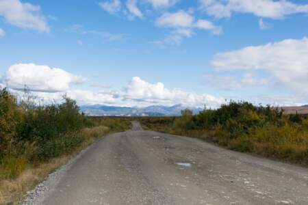 Kanada & Alaska // Reisebericht // Teil - 1- die Bilder 257