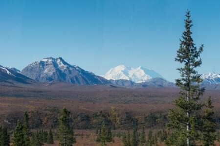 Kanada & Alaska // Reisebericht // Teil - 1- die Bilder 266