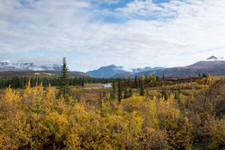 Kanada & Alaska // Reisebericht // Teil - 1- die Bilder 312