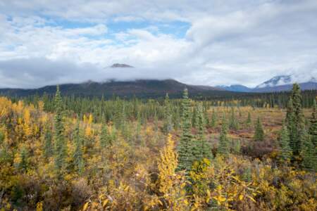 Kanada & Alaska // Reisebericht // Teil - 1- die Bilder 313