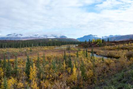 Kanada & Alaska // Reisebericht // Teil - 1- die Bilder 314