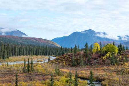 Kanada & Alaska // Reisebericht // Teil - 1- die Bilder 315