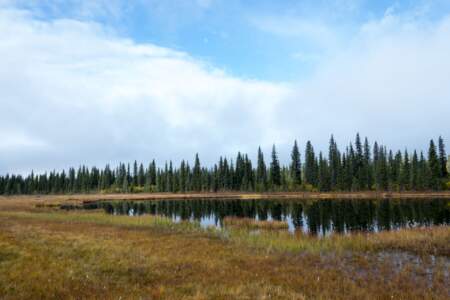 Kanada & Alaska // Reisebericht // Teil - 1- die Bilder 316