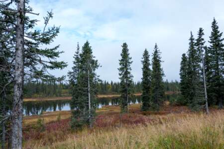 Kanada & Alaska // Reisebericht // Teil - 1- die Bilder 317